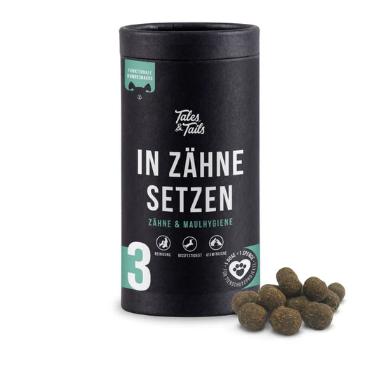 In Zähne setzen - Zahnpflege-Snack für Hunde