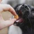 Bild in Galerie-Betrachter laden, Huhndert Prozent lecker - Trainingsleckerli mit Huhn
