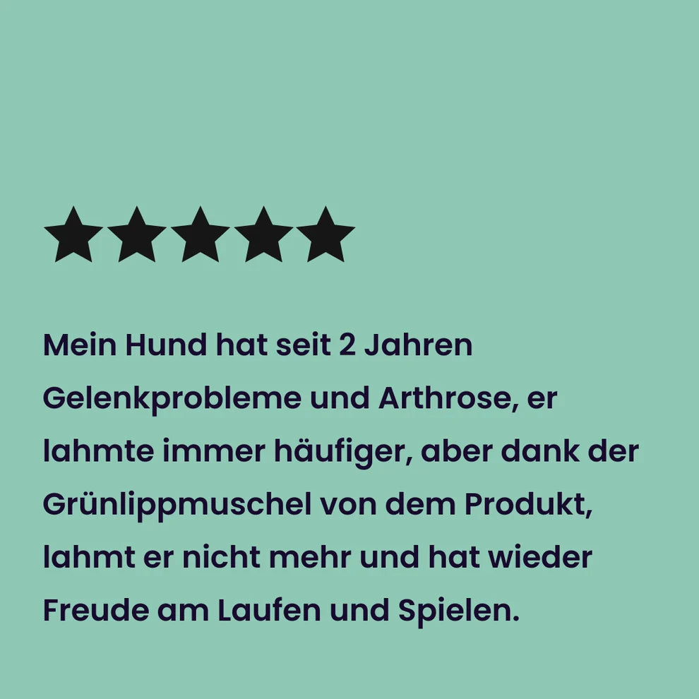 Alles im grünen Bereich - Grünlippmuschelpulver für Hunde 5x100g