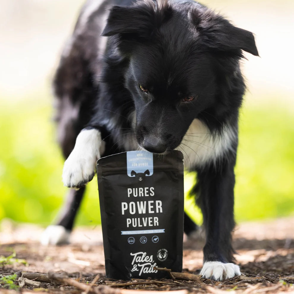 Pures Power Pulver für Hunde - 5x 200g