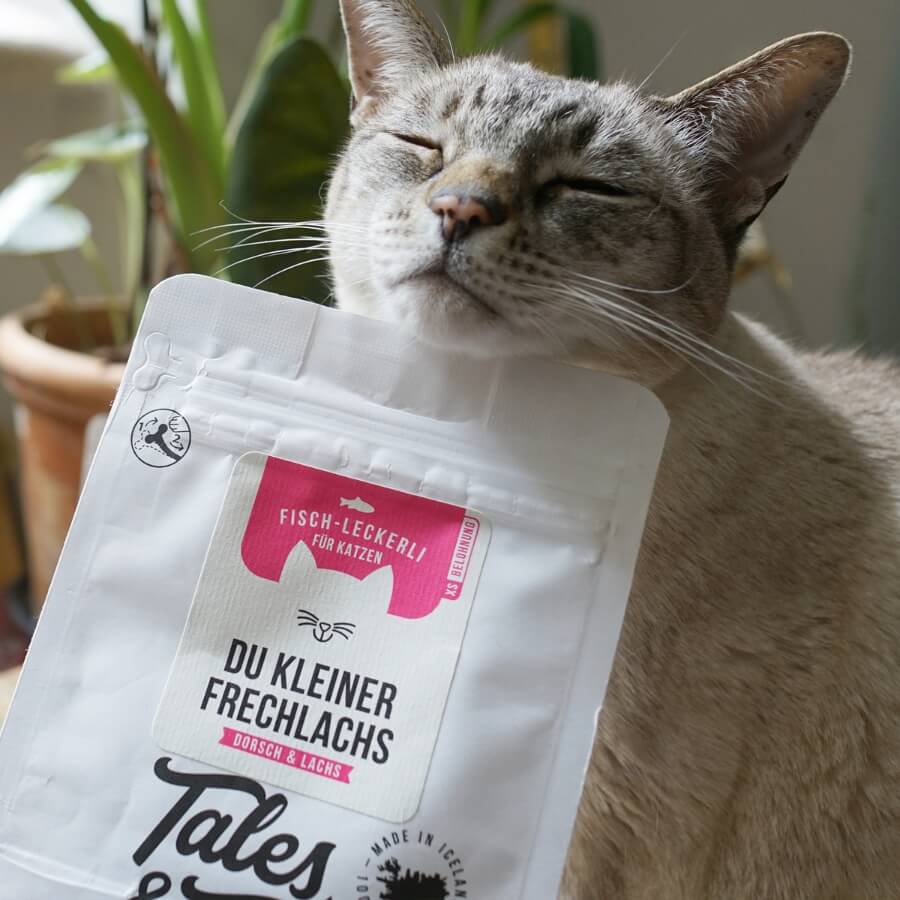 Katzensnacks