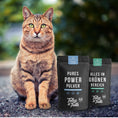 Bild in Galerie-Betrachter laden, Tales & Tails Gelenk-Paket für Katzen – MSM & Grünlippmuschel
