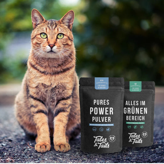 Tales & Tails Gelenk-Paket für Katzen – MSM & Grünlippmuschel