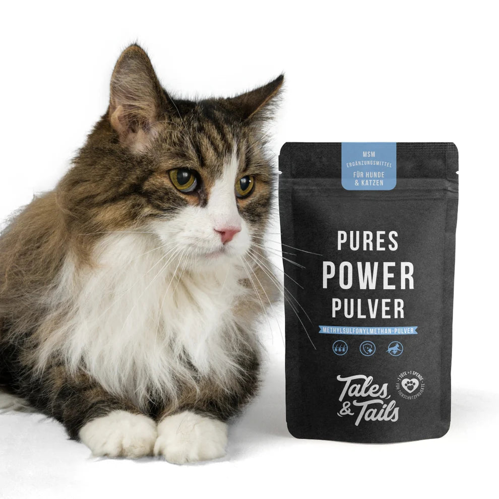 Tales & Tails Gelenk-Paket für Katzen – MSM & Grünlippmuschel