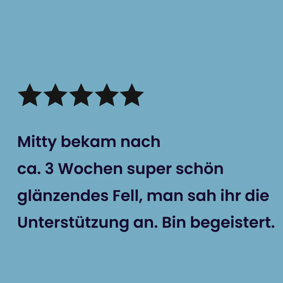 Tales & Tails Gelenk-Paket für Katzen – MSM & Grünlippmuschel
