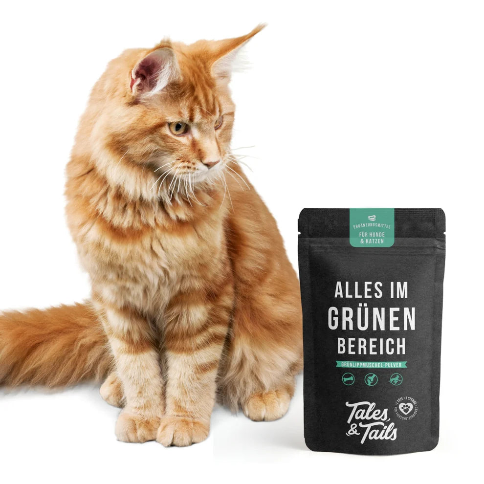 Tales & Tails Gelenk-Paket für Katzen – MSM & Grünlippmuschel