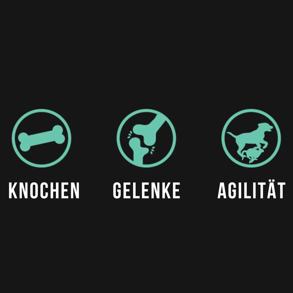 Tales & Tails Gelenk-Paket für Katzen – MSM & Grünlippmuschel